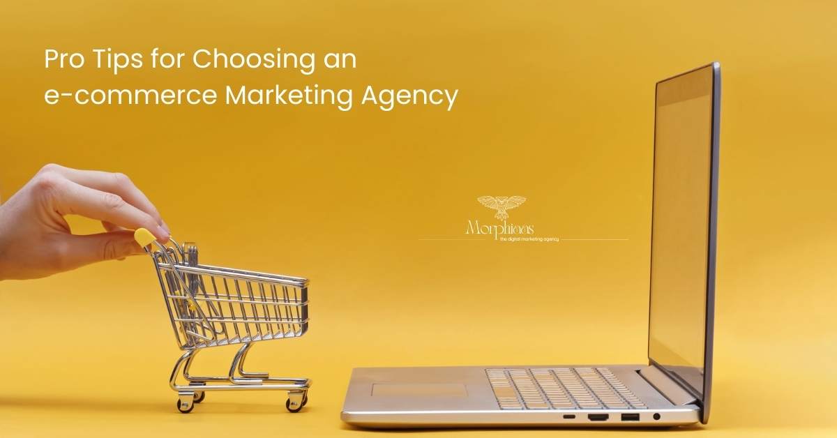 ecommerce marketing agency in delhi - morphiaas