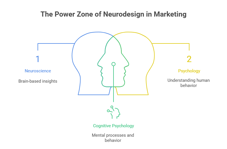 Neurodesign in Ads_ How to Hack the Human Brain for Conversions- morphiaas Neurodesign in Ads_ How to Hack the Human Brain for Conversions- morphiaas