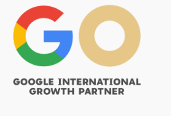 Google International Growth Partner
