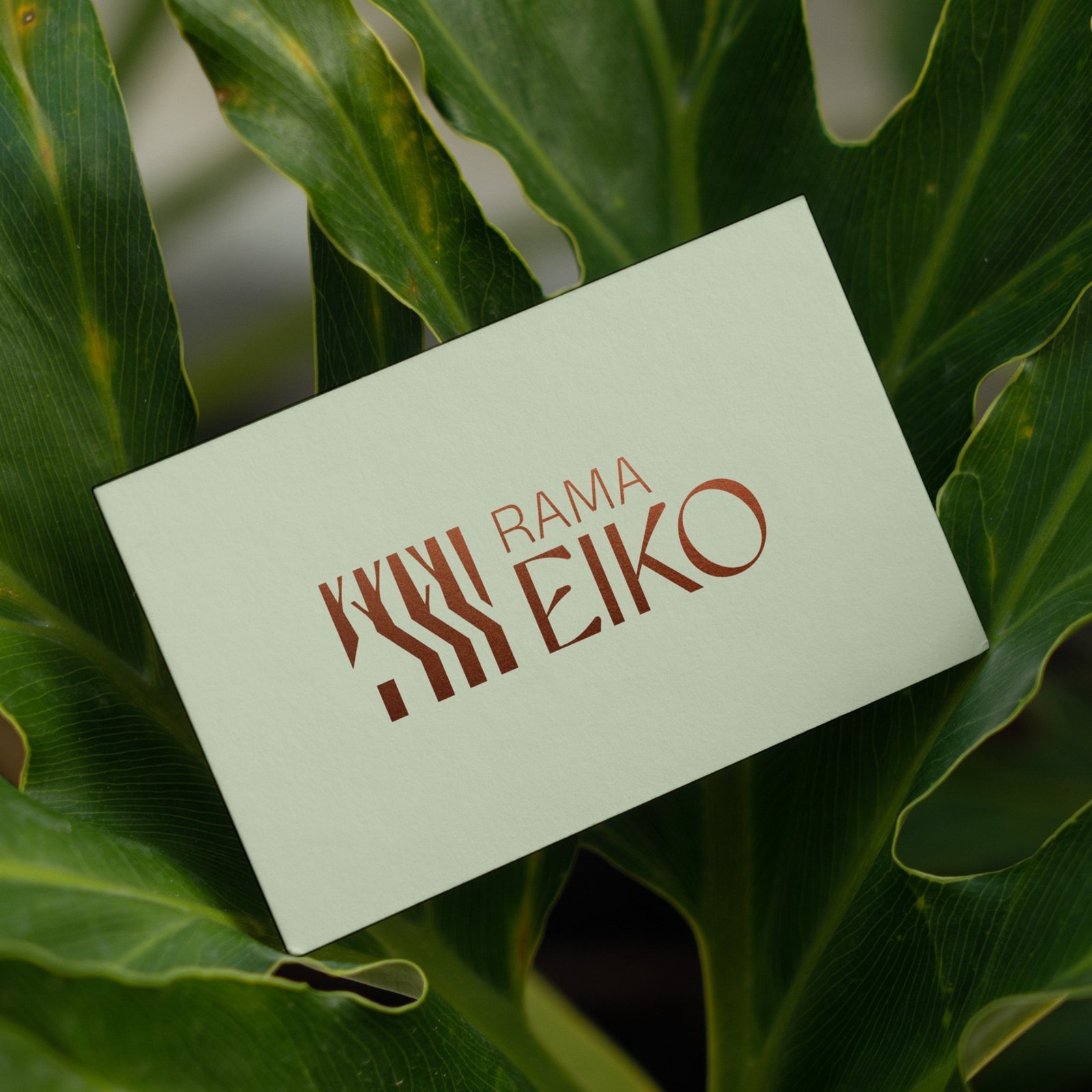 Rama Eiko brand touchpoint